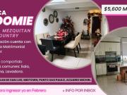 SE BUSCA ROOMIE en townhouse amueblado solo mujeres