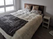 Se comparte depto para estudiante intercambio