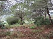 Se oferta suelo urbano residencial por 57.950€ en...