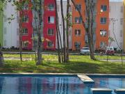 Se renta depa en paseos de sisal, Playa del Carmen, QRoo