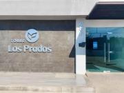 se renta departamento en la conquista se renta departamento en la conquista