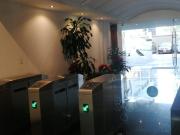 SE RENTA OFICINA EN POLANCO