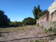 Se renta terreno 1200 m2 en el Aguacate