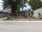 SE RENTA TERRENO AV FONATUR, ALAMOS II