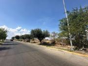 Se Renta Terreno Comercial