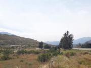 Se renta terreno de 53,000 m2 en Valle Redondo PMR 558