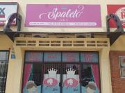 SE TRASPASA NEGOCIO DE SPA FIESTAS INFANTILES PUEBLA