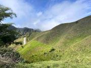 SE VE DE FINCA GANADERA EN AMALFI ANTIOQUIA / 41 HECTÁREAS