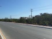 SE VENDE 10 HAS EN CAMPECHE A UN COSTADO DE LA ESTACION...