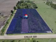 Se vende 1HA acceso norte de Avellaneda