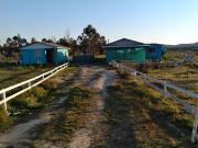 Se vende 2 casas en Parcela de 5.000. Camino a Caliboro