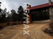 Se vende 3 hectáreas en zona arbolada en Bosques del Sur