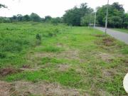 SE VENDE 8 HECTREAS + 3.162,73 M2 EN LA VEREDA PALOMAS YOPAL