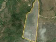 Se vende 9.43 hectareas en La Peñita de Jaltemba