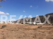 Se vende amplio terreno en el Valle de Guadalupe 3