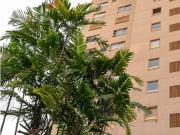 Se vende apto 164m2 4h/4b/2p Las Mesetas 3134