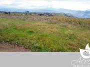 SE VENDE BONITO TERRENO AGRÍCOLA EN MALCHINGUÍ 2...