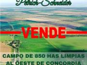 Se vende campo al oeste de Concordia Entre Ríos Se vende campo al oeste de Concordia Entre Ríos