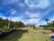 SE VENDE CAMPO PARA INVERSIÓN HUIFE PUCON CHILE