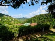 Se vende casa 1600m² 4h+1s/5b+1s/4p Oripoto