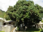 Se vende casa 695m2 Alta Florida 2207 Se vende casa 695m2 Alta Florida 2207