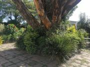 Se vende casa comercial en San Jerónimo, Cuernavaca Morelos