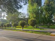 SE VENDE CASA COMO TERRENO EN SAN BORJA