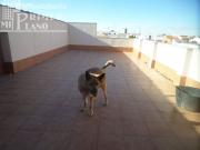 SE VENDE CASA CON GARAJE Y PISCINA POR CALLE ORIENTE...