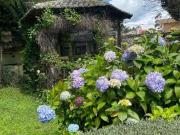 Se Vende Casa con Piscina de 841.11 m2 de Construcción y...