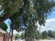 Se VENDE casa de 1 planta en Jardines del Valle