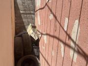 SE VENDE CASA EN FRACCIONAMIENTO NUEVA GALICIA