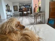 SE VENDE CASA EN LA ALHAMBRA, MANIZALES