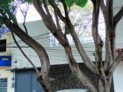 SE VENDE CASA EN SAN MIGUEL CHAPULTEPEC, MIGUEL HIDALGO CDMX