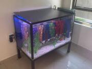 Se vende casa en Valle Dorado en Tlalnepantla AV1766