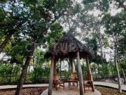 Se Vende Casa Modelo Okume en Los Olivos Playa del...