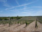 Se vende casa rural cortijo, nave y finca de 50 Ha