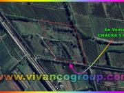 Se vende Chacra 5 has. en blanco en Centenario,...