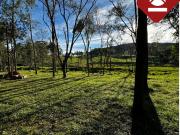 Se vende chacra de 35 hectareas