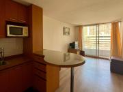 Se Vende Departamento 1 Dormitorio + Bodega, Santiago Centro