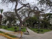 SE VENDE DEPARTAMENTO DUPLEX MAS AZOTEA EN LA VICTORIA...