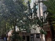 Se vende edición con local comercial col Roma