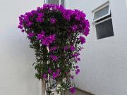 SE VENDE ESTRENA CASA EN ÁLAMOS 2DA SECCIÓN, QUERÉTARO