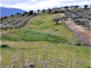 SE VENDE ESTUPENDA PARCELA RUSTICA
