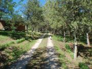 Se vende excelente propiedad en Tanti con 2 hectáreas De...