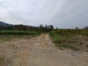 SE VENDE FINCA AGRÍCOLA 25 HECTAREAS TABULE – TACHINA –...