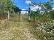 SE VENDE FINCA AGRÍCOLA EN PRODUCCIÓN 126,70 HECTÁREAS,...