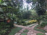 SE VENDE FINCA BELLA SUIZA 12 HECTAREAS