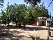 Se vende finca con casa y galpón en Colonia...