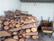 Se vende finca con cortijo