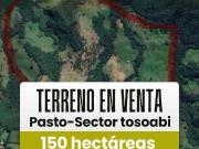 Finca economica de 150 hectáreas en tosoabi Pasto Nariño